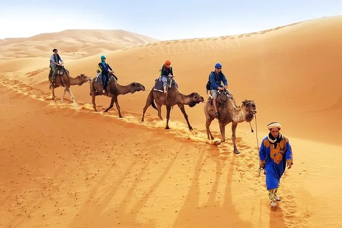 Camel ride on the beach in Agadir