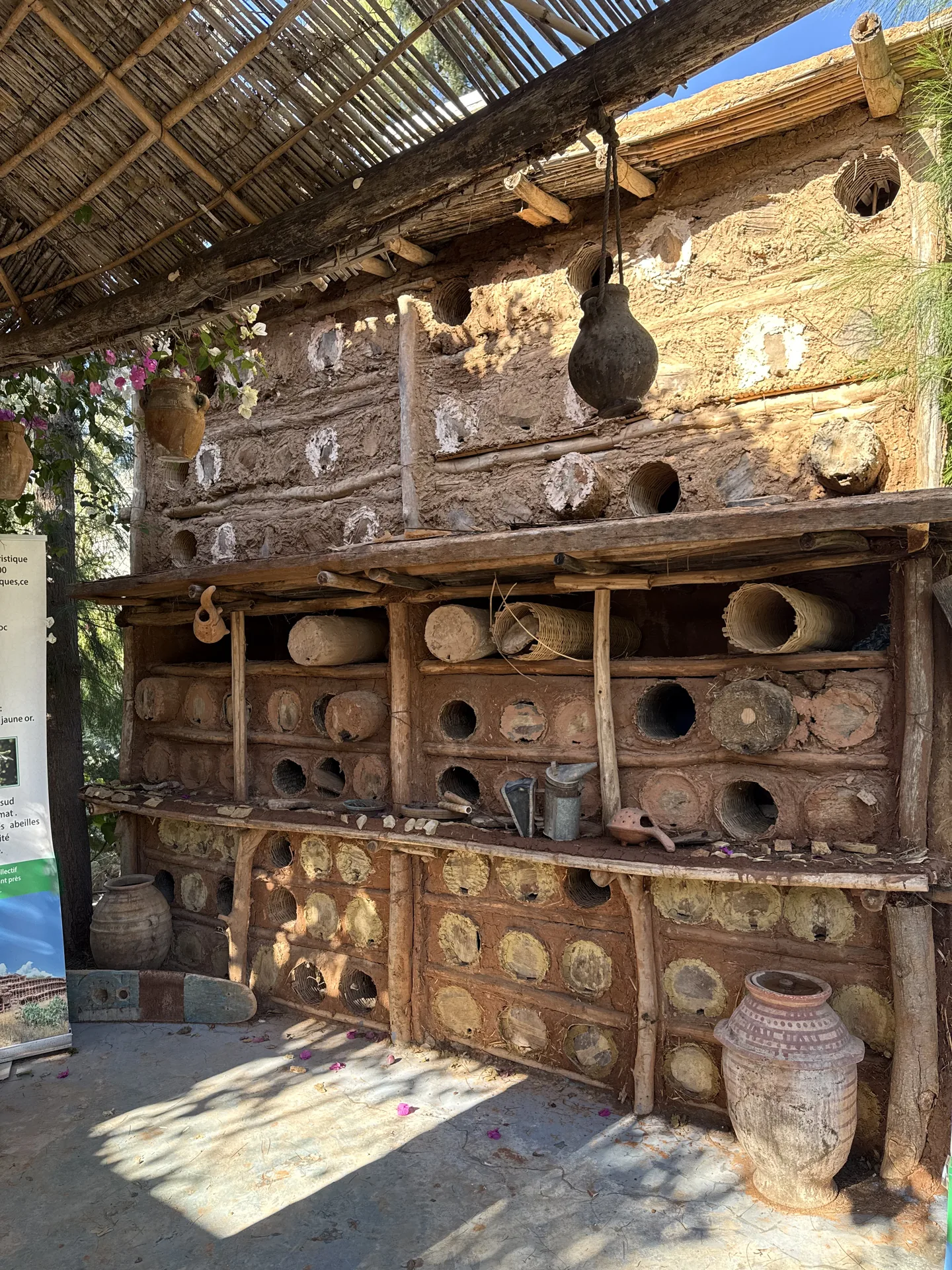 Paradise Valley nature photo from Agadir tour