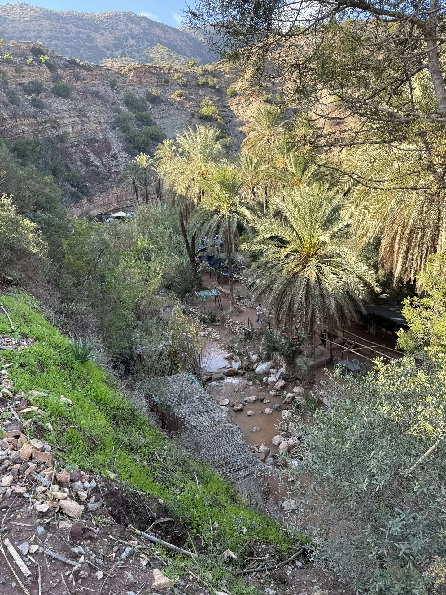 Paradise Valley palm grove near Agadir